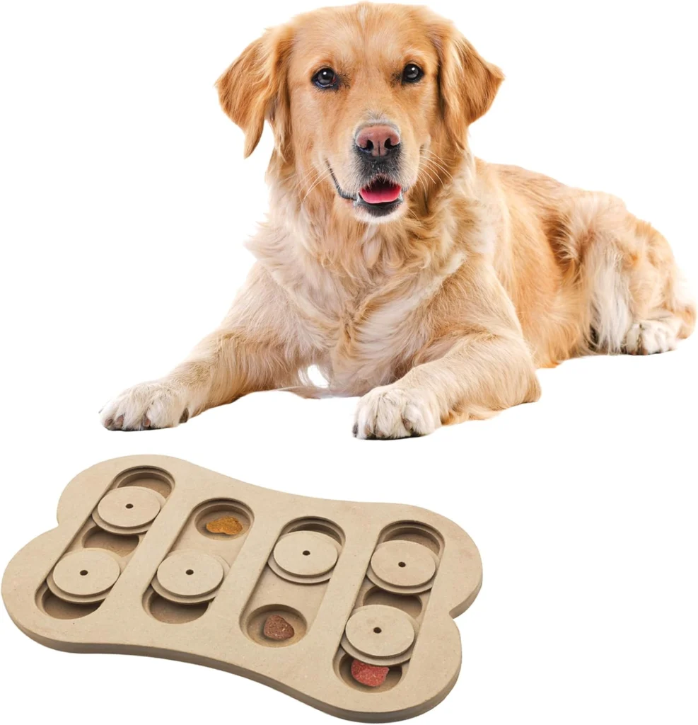 SPOT Seek-A-Treat Bone Puzzle