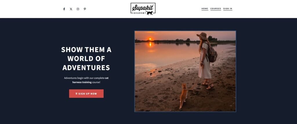 Creative Ideas to Start a Pet Business