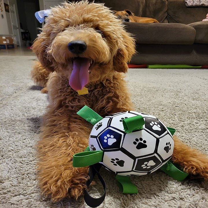 Tough Dog Toys: A Solution to Save Your Furniture