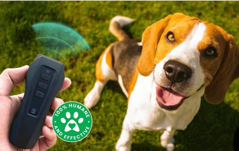 BarxBuddy: The Popular Dog Training Device Leading the Way in Humane Correction