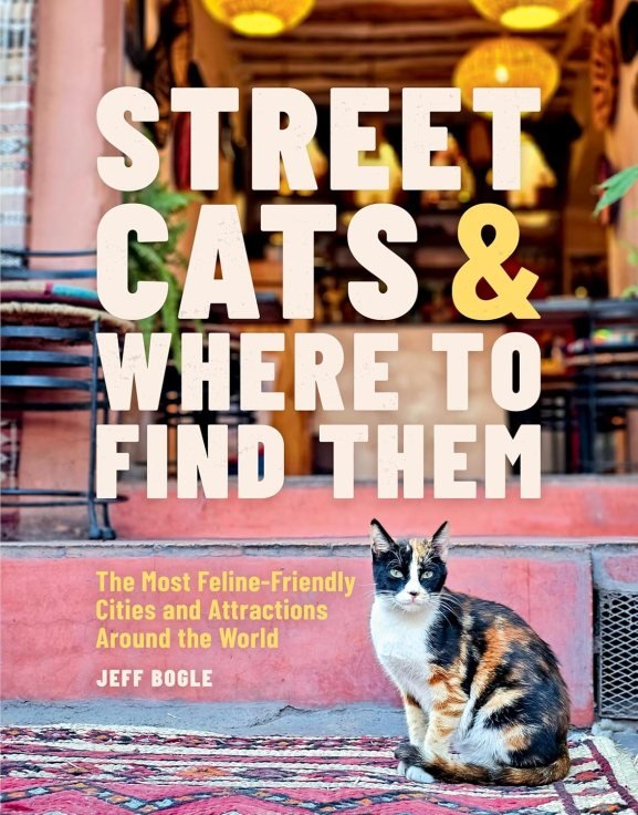 Caturday Quadrifecta Overview: A Deep Dive into the World of Feline Fascination