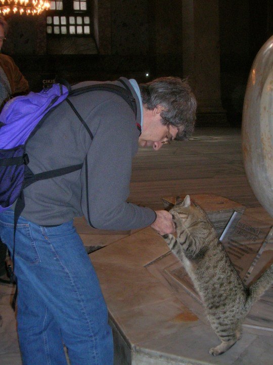 Caturday Quadrifecta Overview: A Deep Dive into the World of Feline Fascination