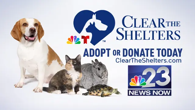 clear-the-shelters-campaign-underway-to-help-pets-find-homes-2