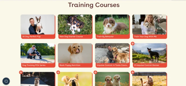 comprehensive overview of pupford academy for puppy training 1