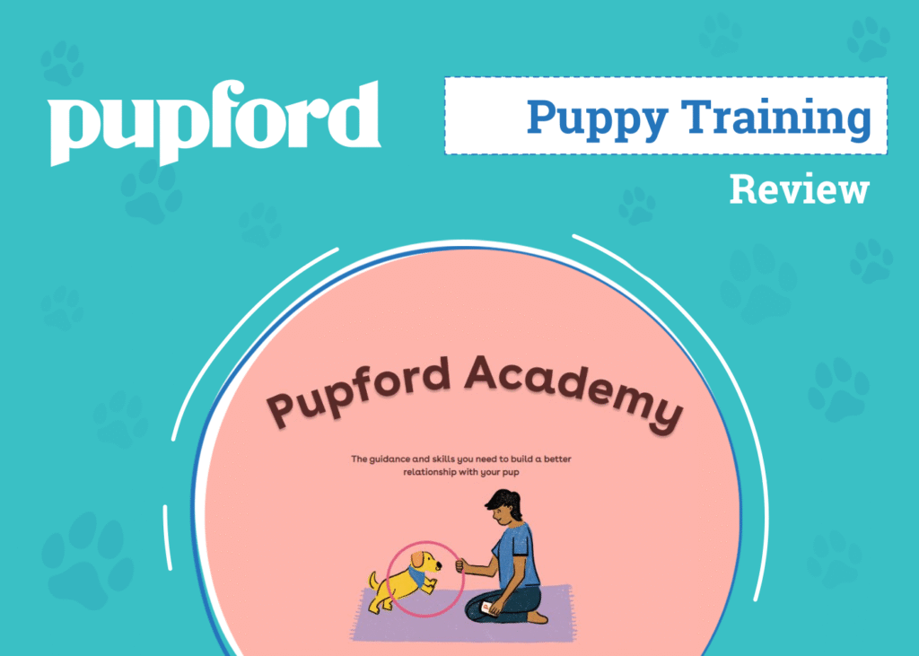 Comprehensive Overview of Pupford Academy for Puppy Training