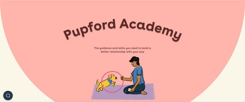 Comprehensive Overview of Pupford Academy for Puppy Training