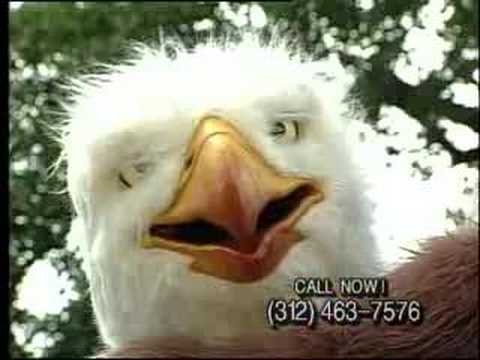 Eagleman Ad Recreation Brings Humor to Pet Adoption