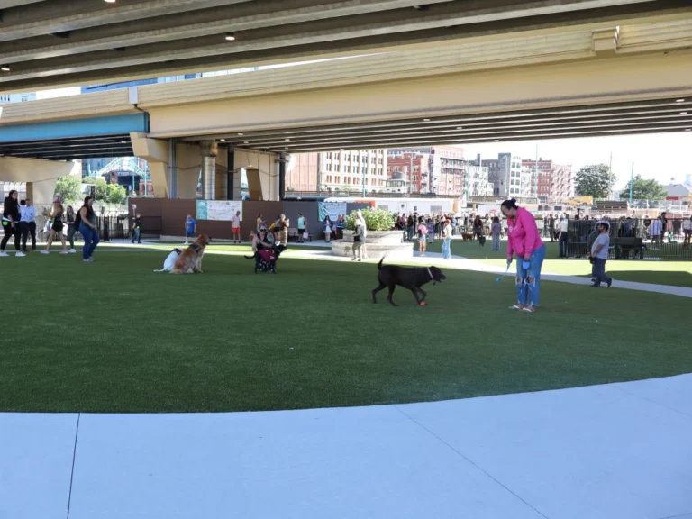 excitement grows as downtown dog park opens to the public