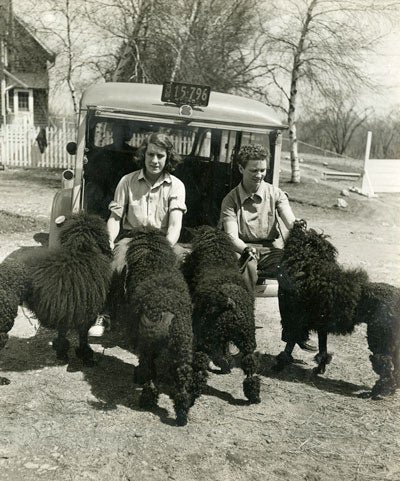 From Defiant Woman to Pioneer of Dog Obedience Training