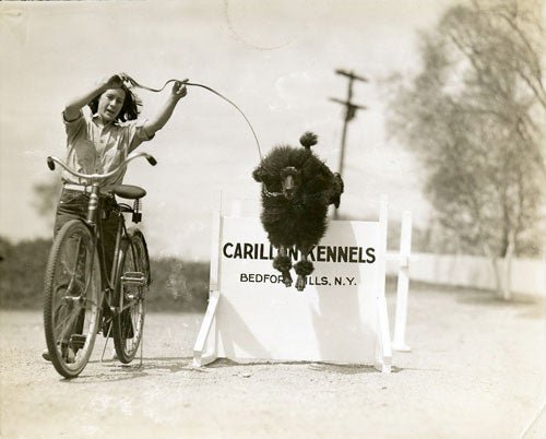 From Defiant Woman to Pioneer of Dog Obedience Training