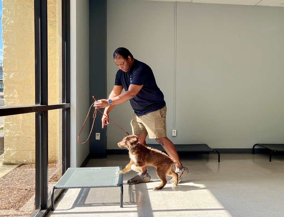Get to know Calvin Brown: The Passionate Co-Owner of Dog U