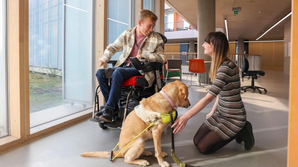 Guide Dogs and the Innovative Use of Remote Controlled Squirrels in Training