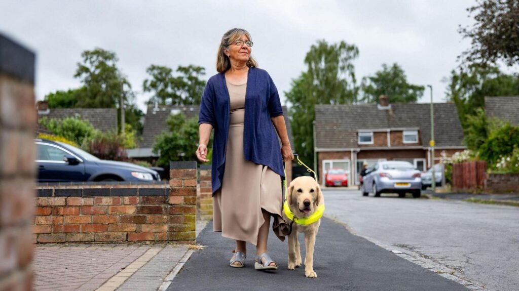 Guide Dogs and the Innovative Use of Remote Controlled Squirrels in Training