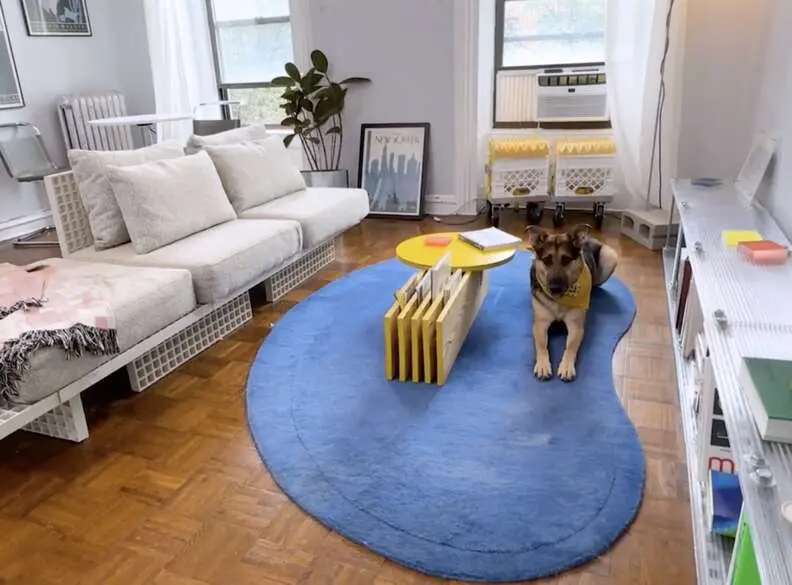 How An Architect Designed The Perfect Small Apartment For His Big Dog How An Architect Designed The Perfect Small Apartment For His Big Dog