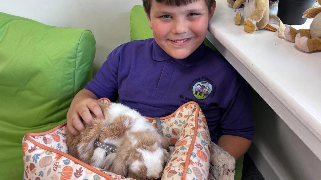 How Rabbits Are Helping Rotherham Children Learn to Read How Rabbits Are Helping Rotherham Children Learn to Read