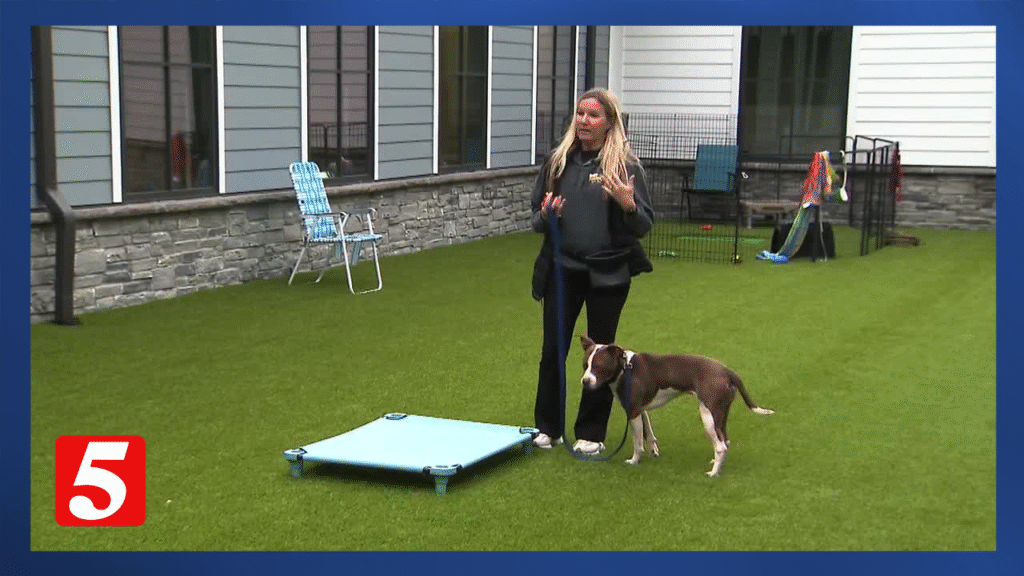 Middle Tennessee Shelters Urge Pet Owners to Utilize Free Training Program to Reduce Pet Surrenders