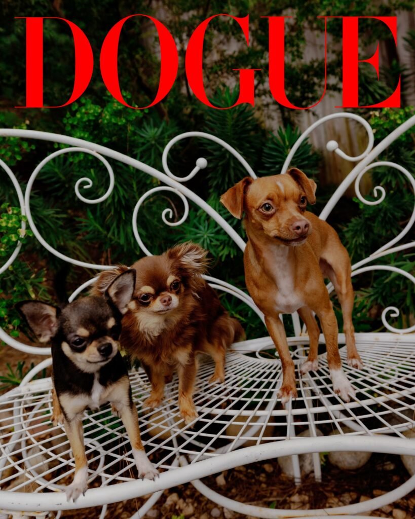 Mikey Madisons Role as a Stage Mom for Three Unique Chihuahuas