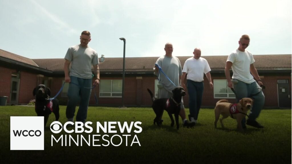 Minnesota Inmates Training Puppies to Become Assistance Dogs
