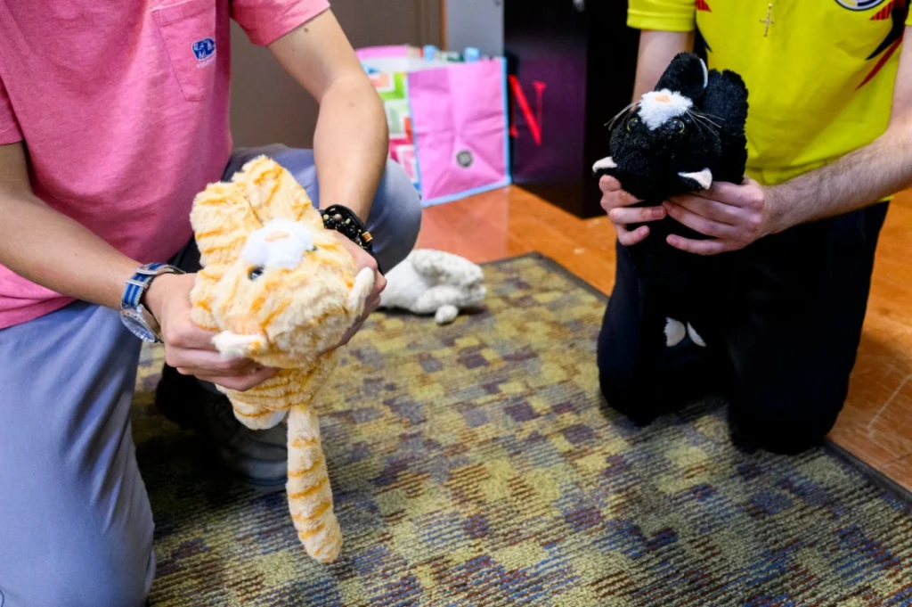Northeastern University CPR Training for Pets Northeastern University CPR Training for Pets
