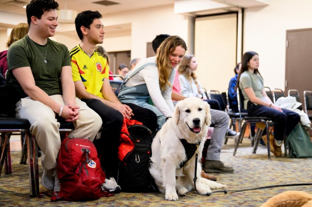 Northeastern University Offers Essential CPR Training for Pets