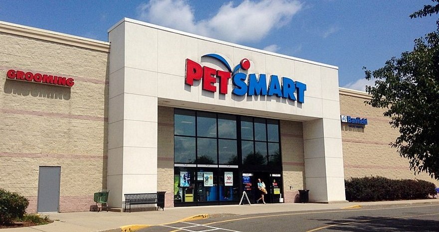 Overview of PetSmart Dog Training: A Valuable Resource for New Dog Owners