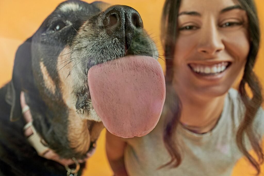 Startup Overview: Loyals Mission to Prolong Canine Lives