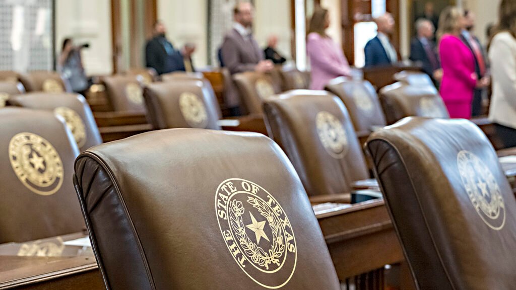 The Austin City Council Reconsiders Spaying Pregnant Animals at the Municipal Shelter