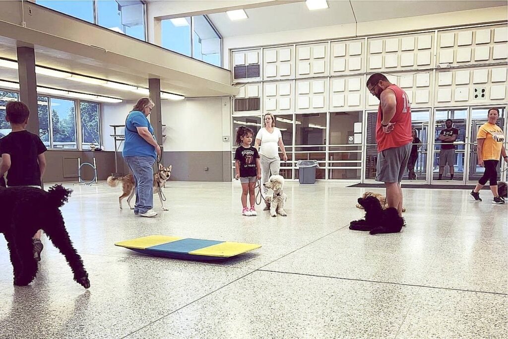The Importance of Dog Training for a Stress-Free Wedding Environment