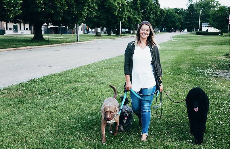 The Importance of Dog Training for a Stress-Free Wedding Environment