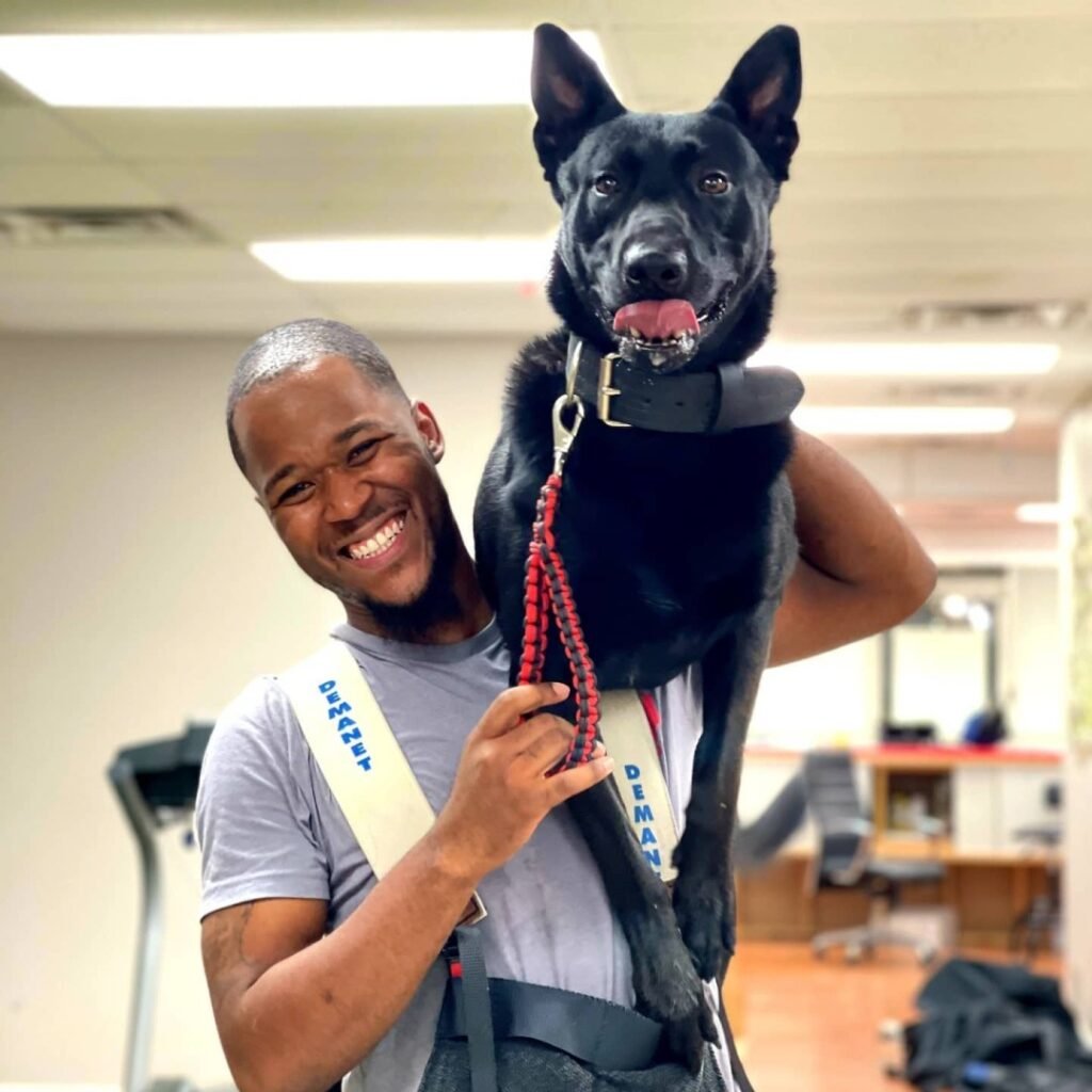 User-Centered Approaches in Dog Training