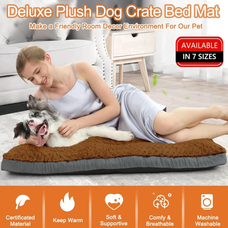 best-washable-orthopedic-dog-beds-reviewed