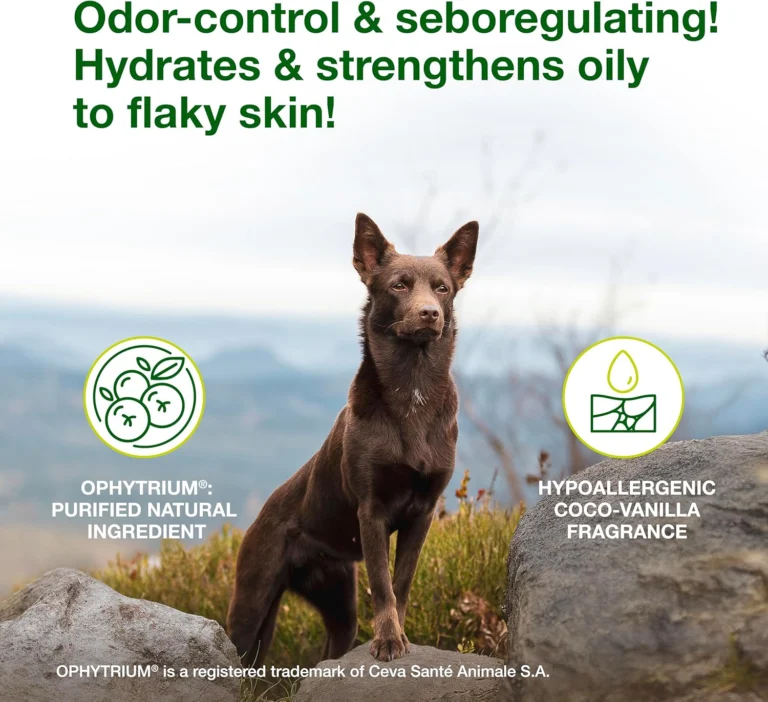 comparing-biohex-douxo-s3-bark2basics-shampoos