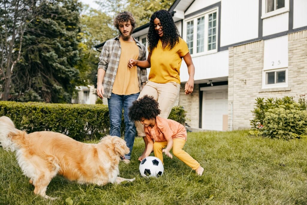 Overview of the Nibbles Pet Rewards Credit Card Benefits