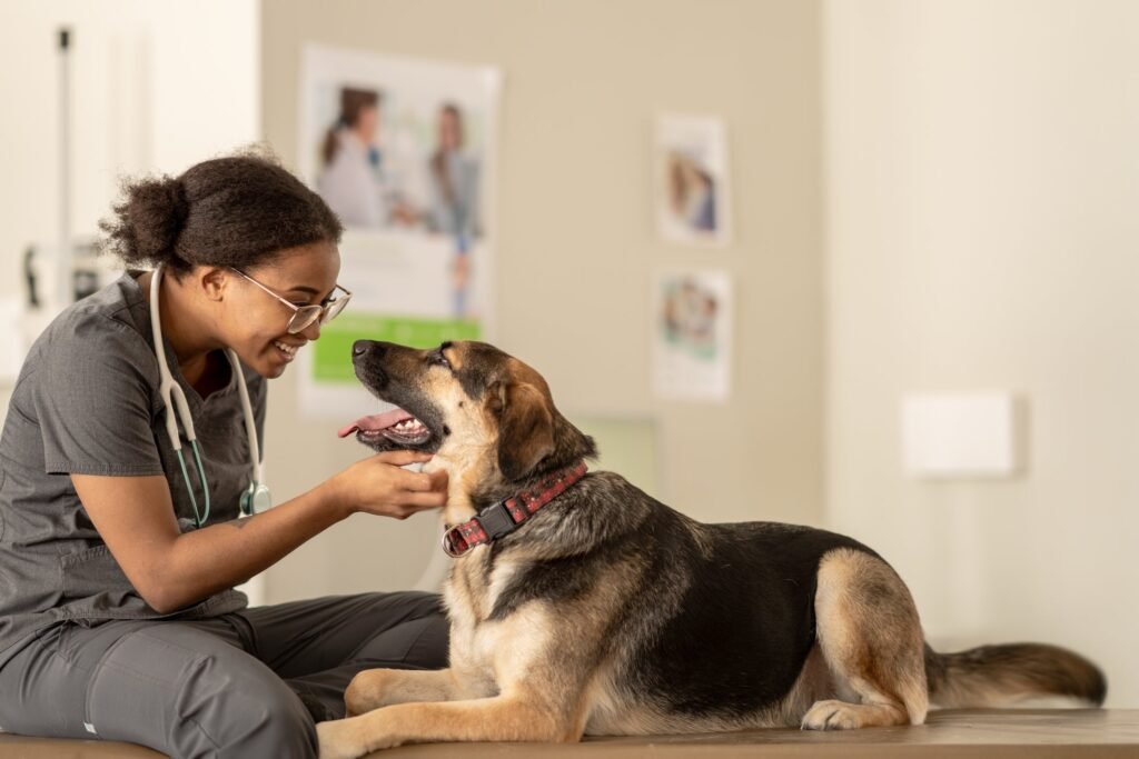 Overview of the Nibbles Pet Rewards Credit Card Benefits