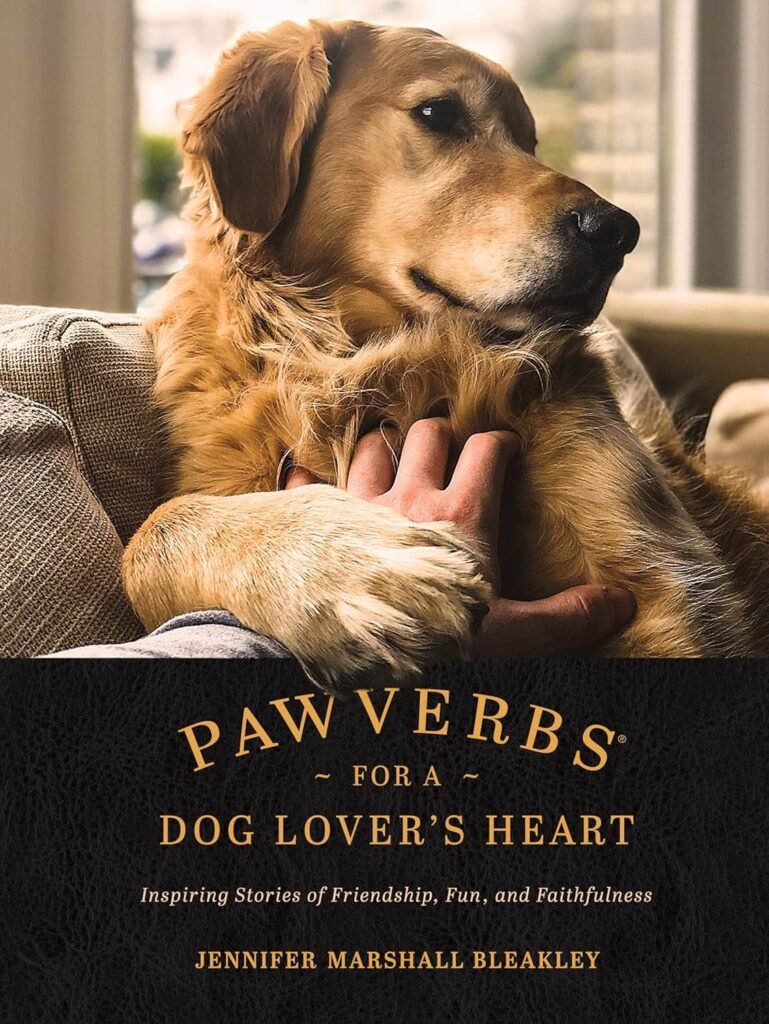 Pawverbs for a Dog Lover’s Heart: Inspiring Stories of Friendship, Fun, and Faithfulness      Hardcover – September 8, 2020