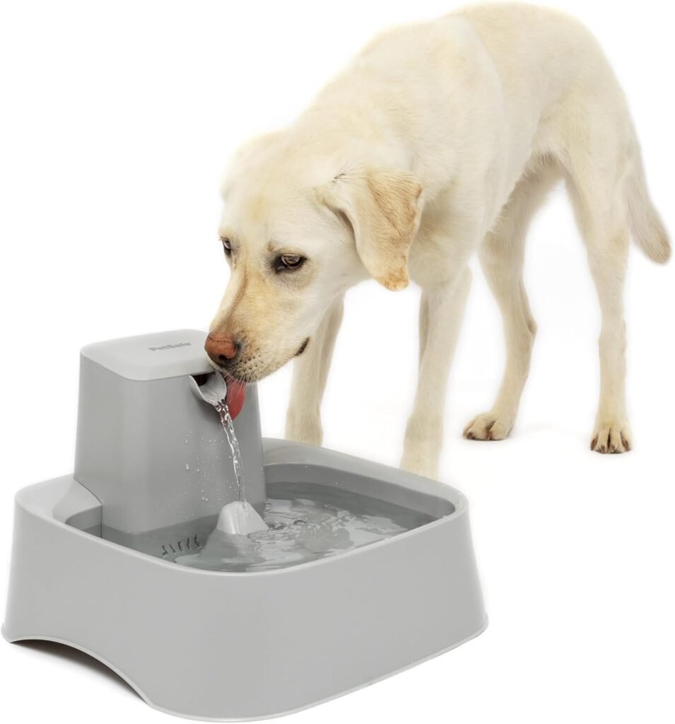 PetSafe Drinkwell Pet Fountain,Dog Water Bowl Dispenser for Cat and Dogs, Plastic, Adjustable Flow Control, Easy to Clean Design,Grey, 2 Gallon/256 oz