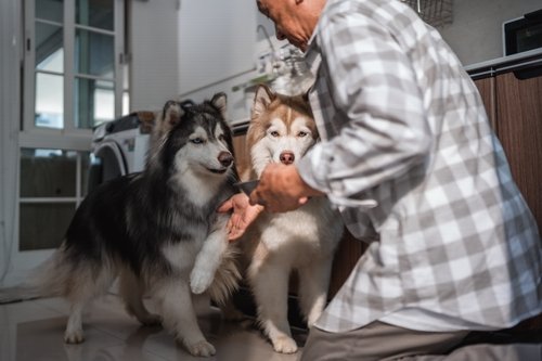 Product Overview: The Ultimate Ultrasonic Anti-Bark Device for Training Your Dog
