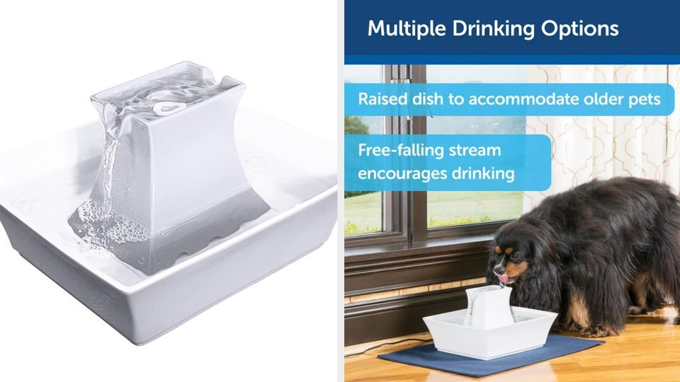 Product Overview: The Ultimate Ultrasonic Anti-Bark Device for Training Your Dog