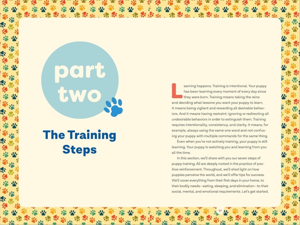 Puppy Training in 7 Easy Steps: Everything You Need to Know to Raise the Perfect Dog      Paperback – April 2, 2019