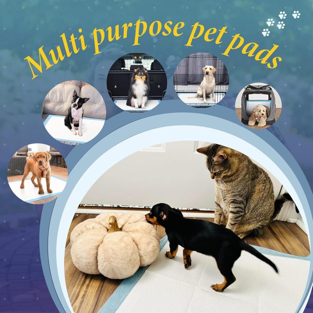 TBM Puppy Pads 100 Count - 23.6 x 23.6 - Super Absorbent Pee Pads for Dogs - Premium Leak-Proof - Pets Potty Training Essentials - Disposable Quick- Dry Pads for Puppies | Cats | Rabbits