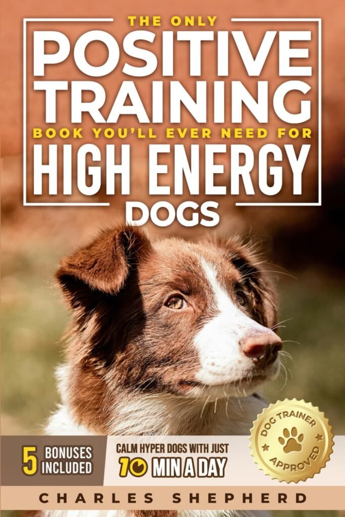 The Only Positive Training Book You’ll Ever Need for High-Energy Dogs: Complete Step-by-Step Guide to Calm Your Hyper Dog, Stop Destructive Behaviors ... Day (Positive Dog Training  Nutrition Books)      Paperback – August 13, 2025