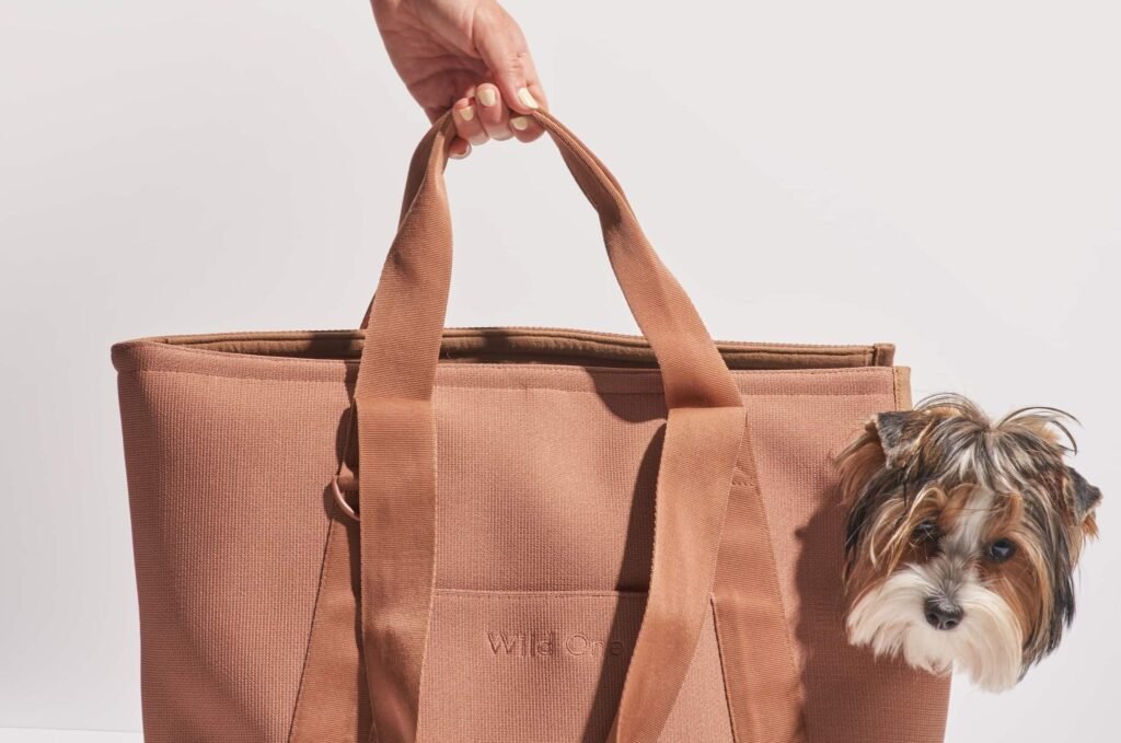 The Verges Favorite Pet Gear for Cats and Dogs