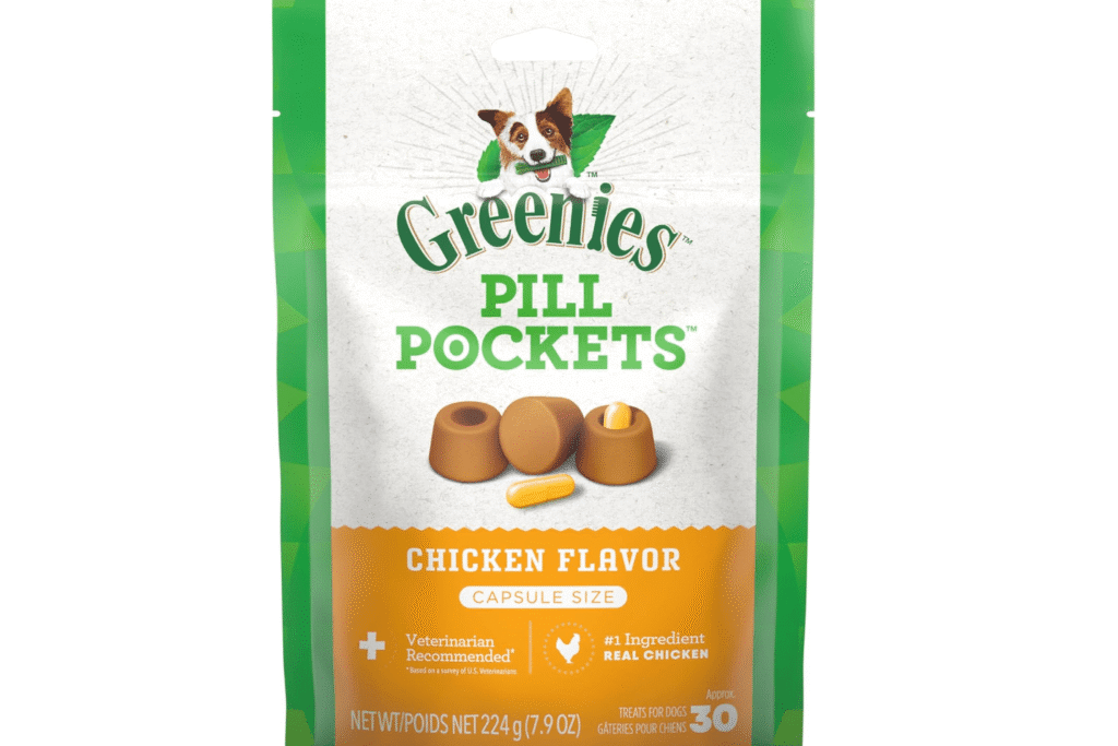 The Verges Favorite Pet Gear for Cats and Dogs