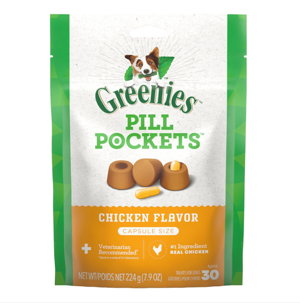 The Verges Favorite Pet Gear for Cats and Dogs