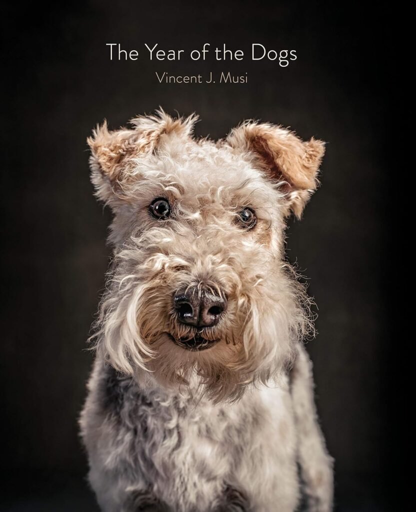 The Year of the Dogs      Illustrated Edition