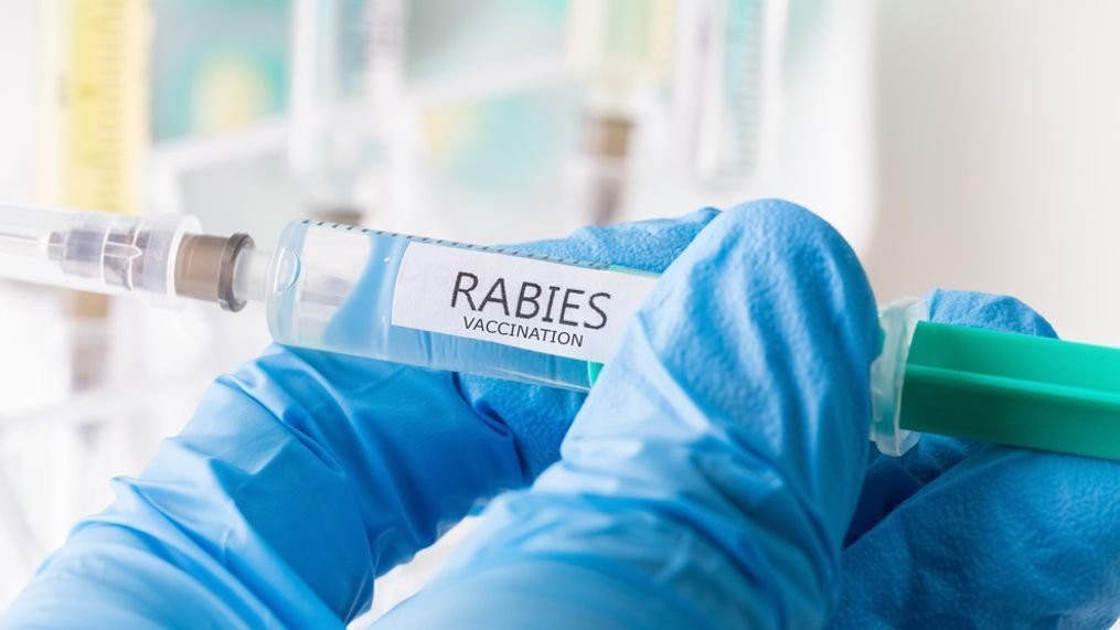 Three People Exposed to Rabid Cat in Florence County, SCDPH Reports