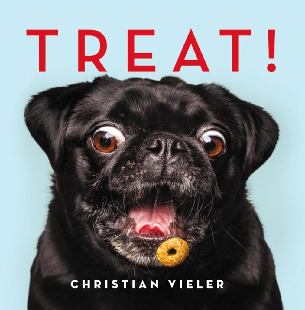 Treat!      Hardcover – Illustrated, September 26, 2017