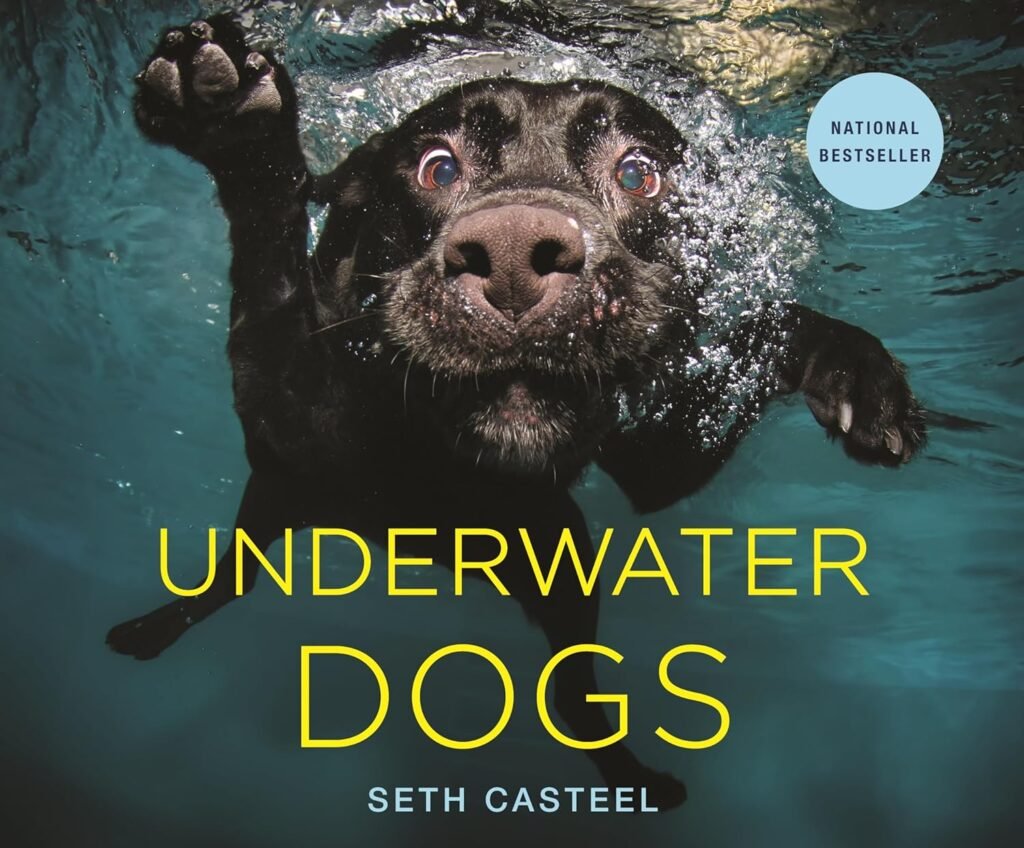 Underwater Dogs      Hardcover – Illustrated, October 23, 2012