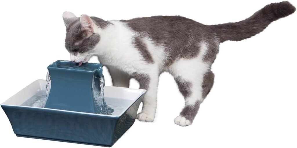 PetSafe Drinkwell Pagoda Fountain - Hygienic Ceramic Continuous Flowing Fountain - Elevated Upper Bowl  Double Free-Falling Stream Design - Minimalist Pet Hydration Station - 70 oz Capacity