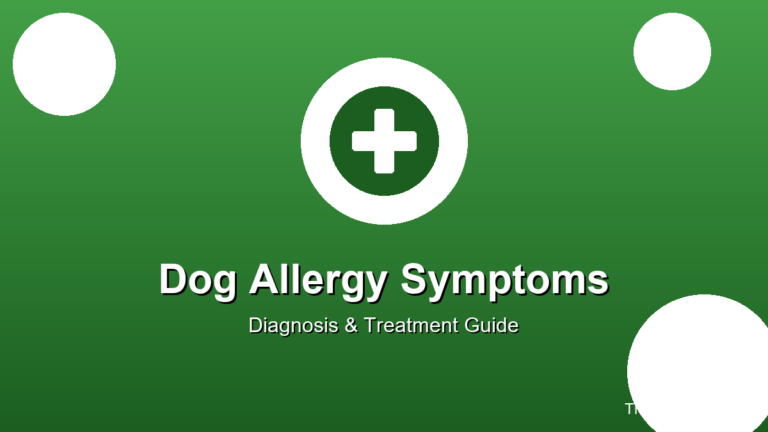 dog allergy symptoms complete guide diagnosis treatment itching sneezing